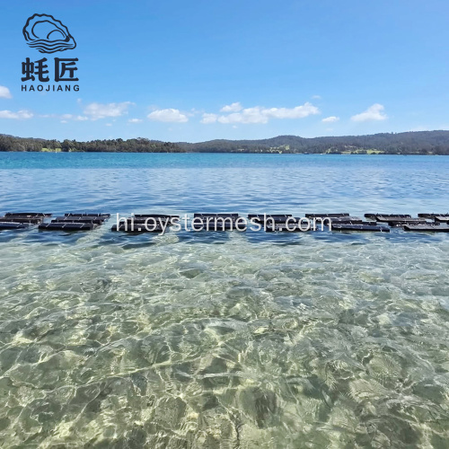 खेती के लिए एचडीपीई आयताकार फोम सीप जाल बैग